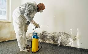 Best Mold Prevention Services  in Browns Lake, WI