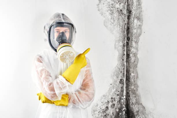 Best Emergency Mold Remediation  in Browns Lake, WI