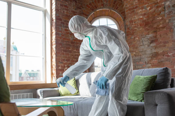 Best Mold Prevention Services  in Browns Lake, WI