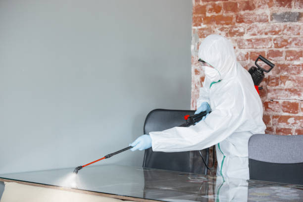 Best Biohazard Mold Removal  in Browns Lake, WI