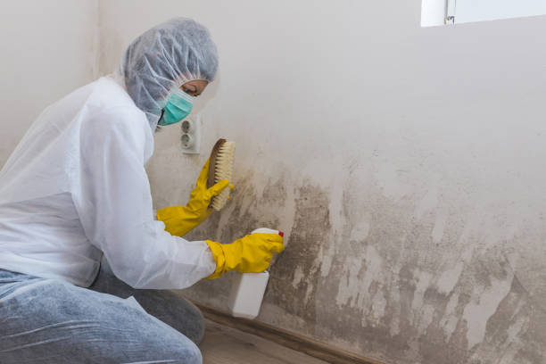 Best Industrial Mold Remediation  in Browns Lake, WI