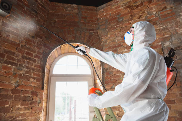 Mold Removal for HVAC Installations in Browns Lake, WI